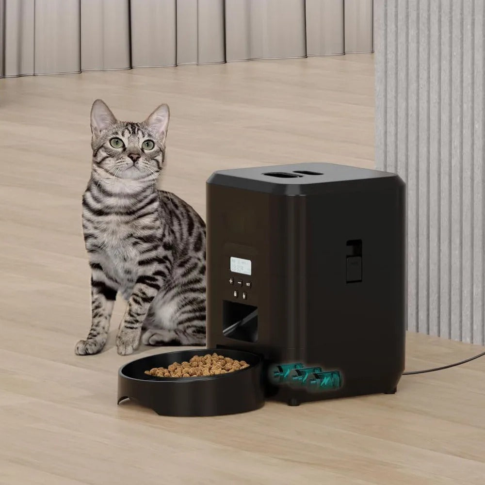 Mangiatoia intelligente per animali domestici
