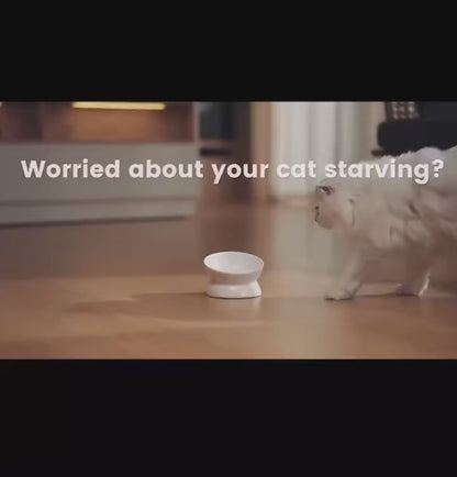 Mangiatoia intelligente per animali domestici